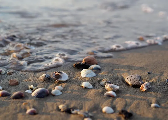 Two-bedroom Flat By The * بيبيوني